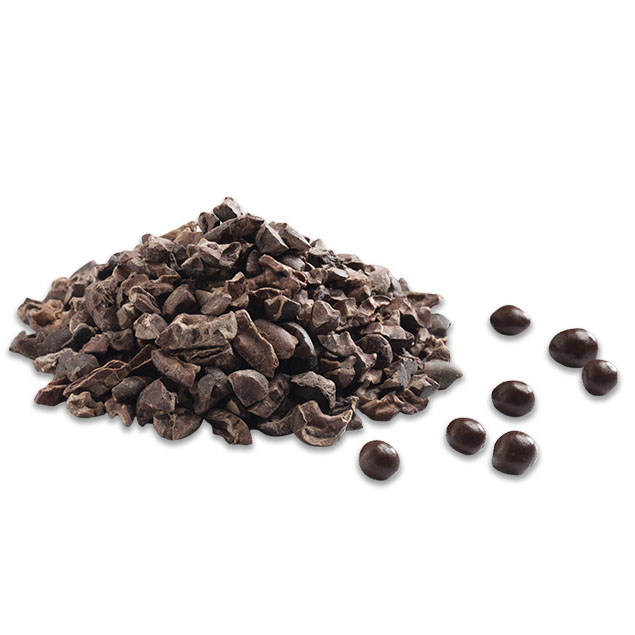 Nibs de Cacao Cubiertas con Chocolate Orgánico 20 gr