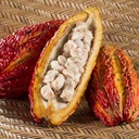 Mango deshidratado cubierto con chocolate 55% cacao 20 g/Orgánico/Sachet/Caja x 16