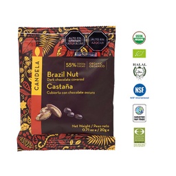 Castaña Amazónica Cubierta con Chocolate Orgánico 20g / 55% Cacao / Caja de 16 unidades